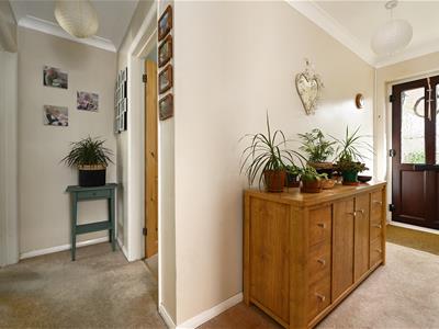 Picture 24